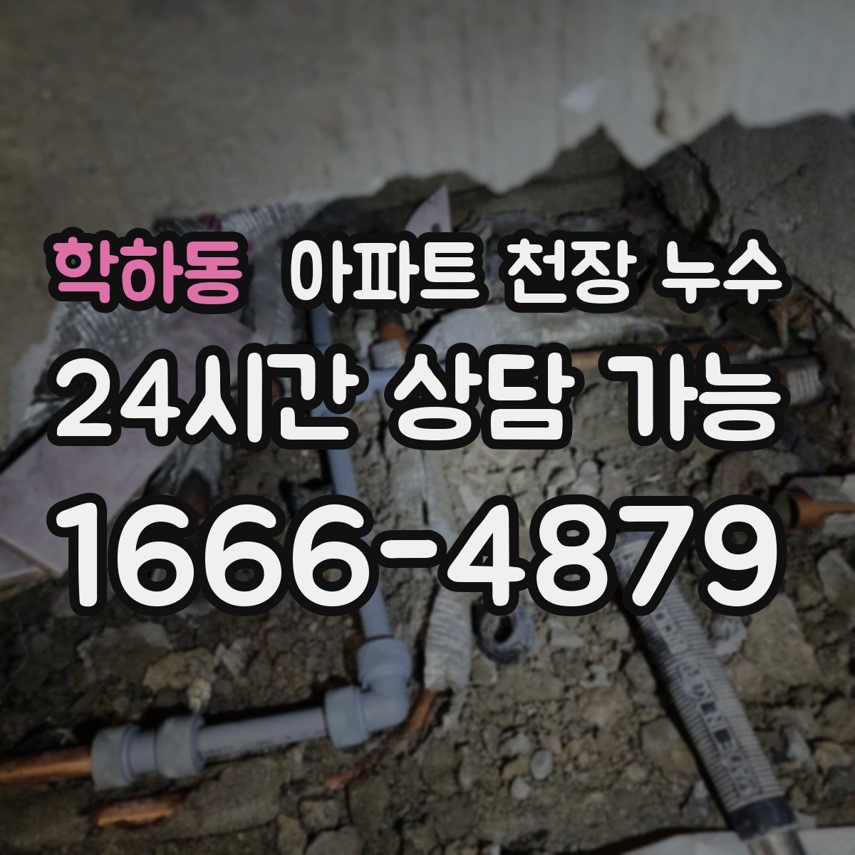 학하동 아파트 천장 누수