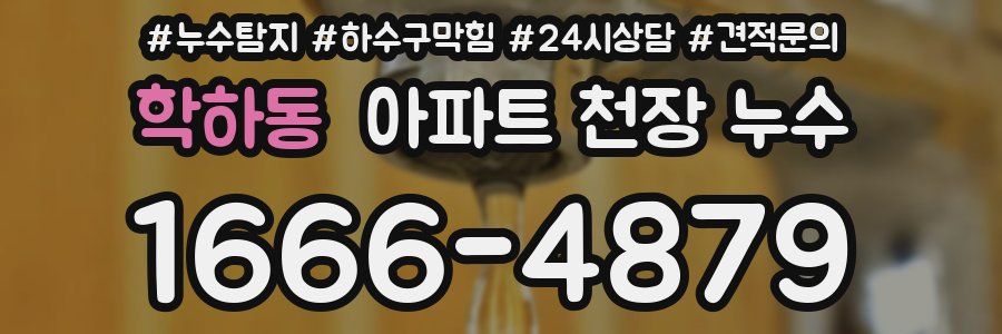 학하동 아파트 천장 누수