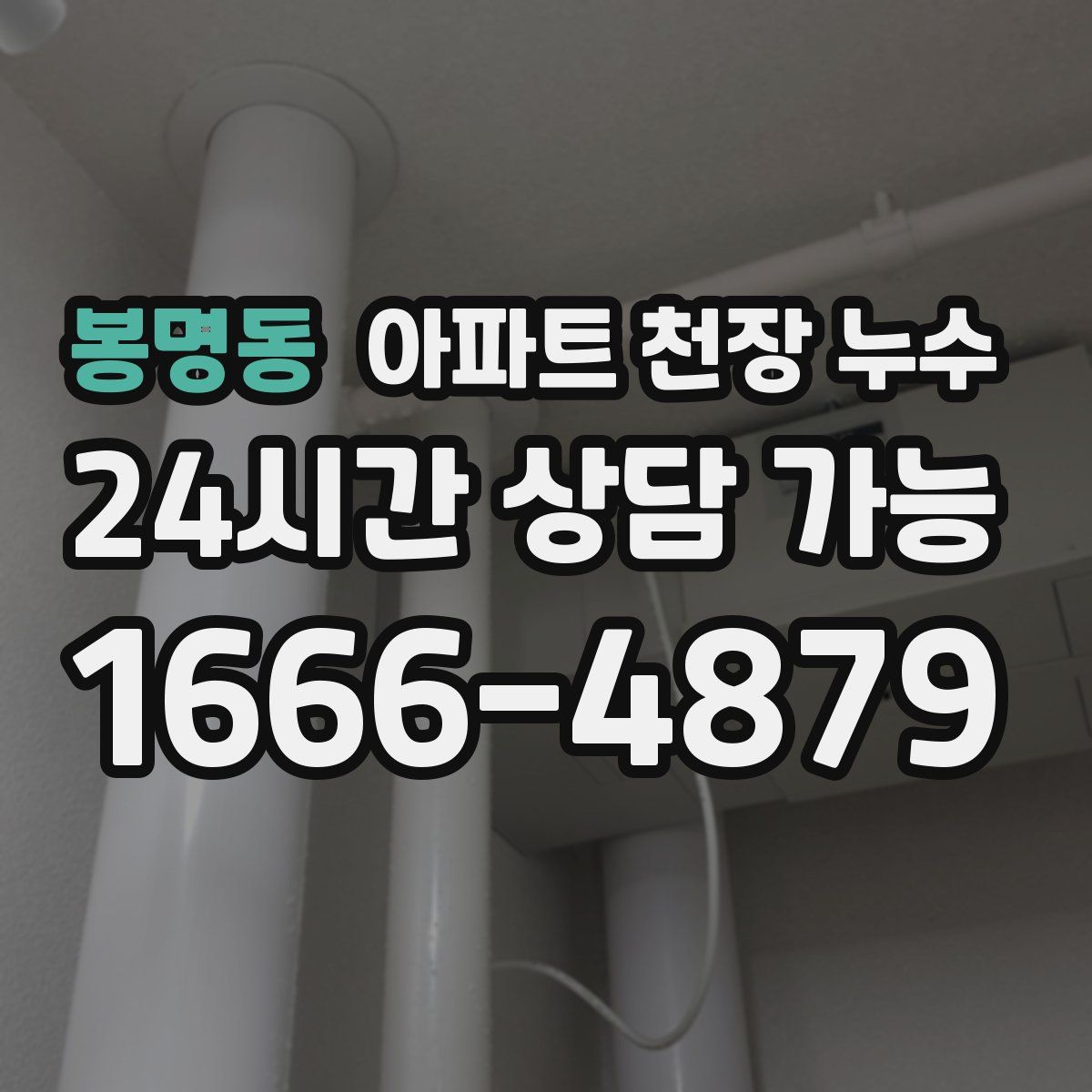 봉명동 아파트 천장 누수