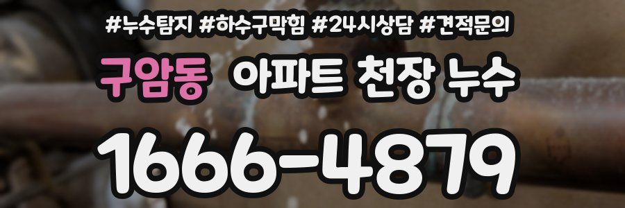 구암동 아파트 천장 누수