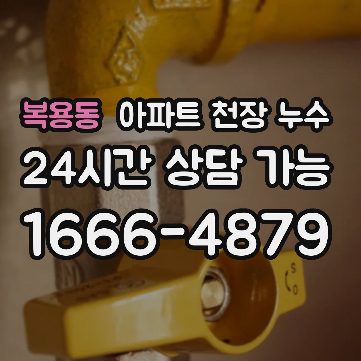 복용동 아파트 천장 누수