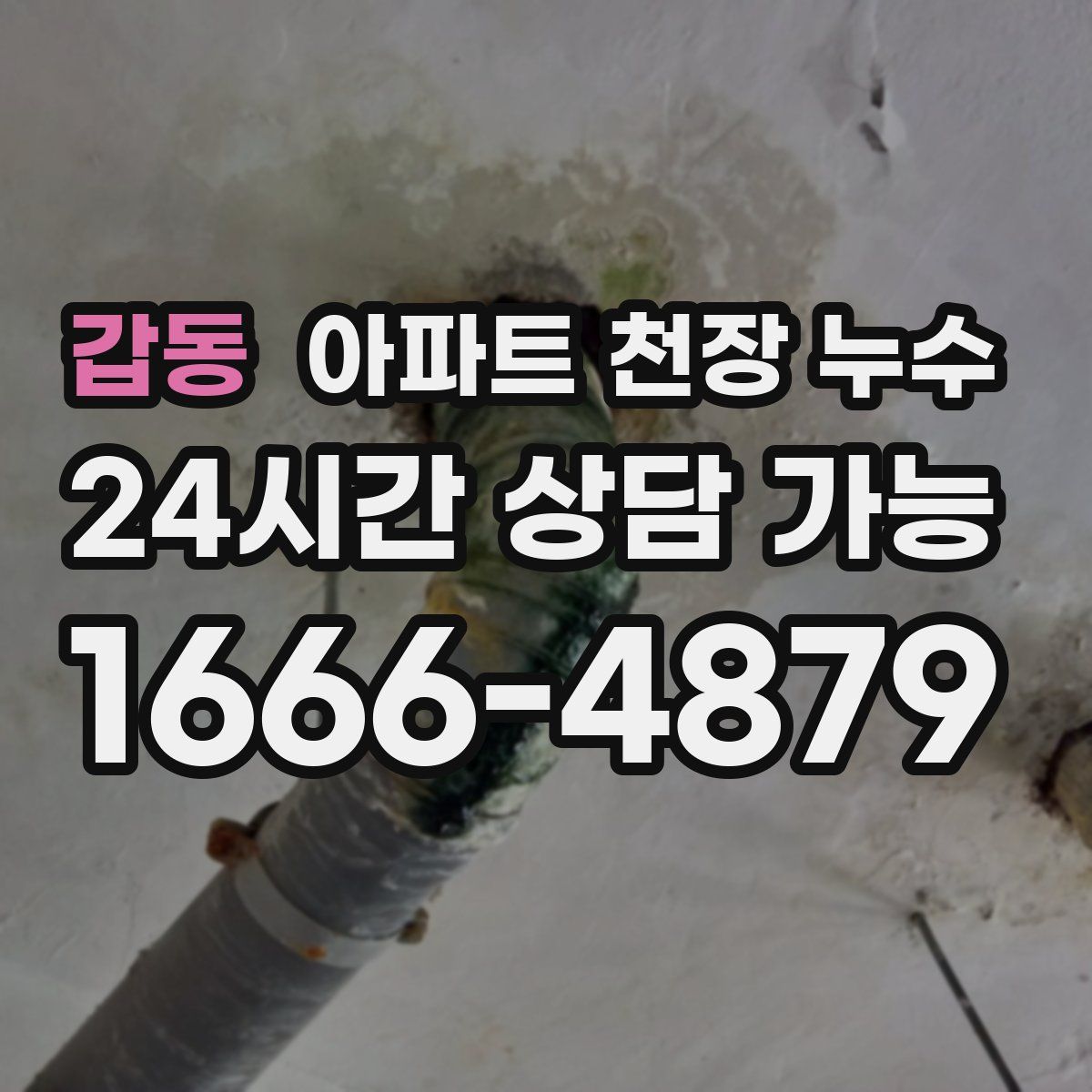 갑동 아파트 천장 누수