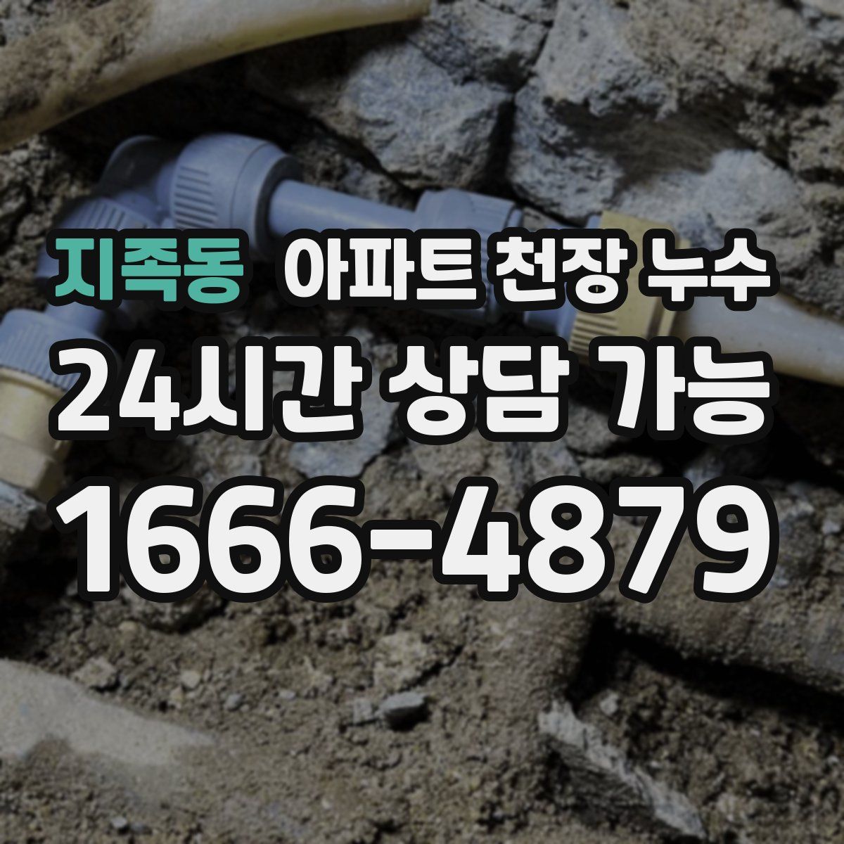 지족동 아파트 천장 누수