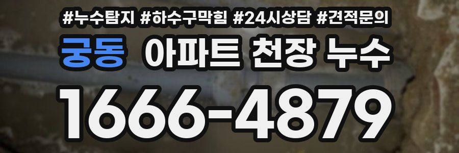 궁동 아파트 천장 누수
