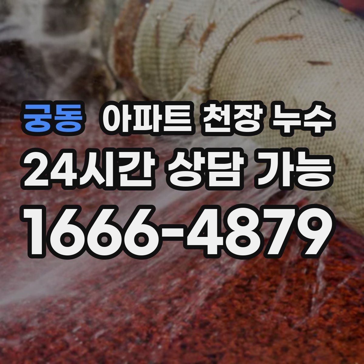 궁동 아파트 천장 누수