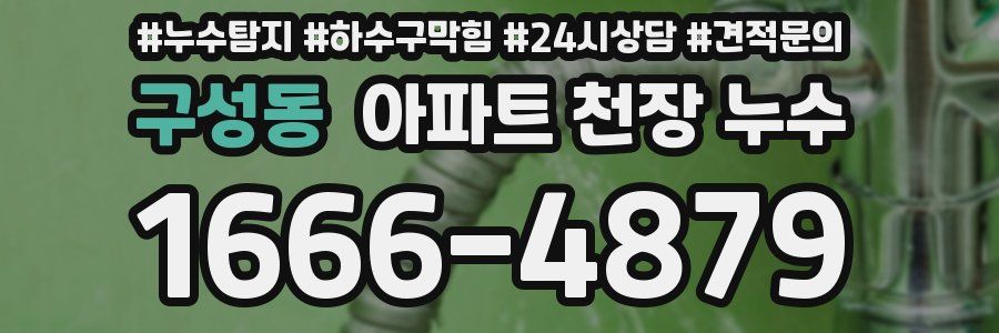 구성동 아파트 천장 누수