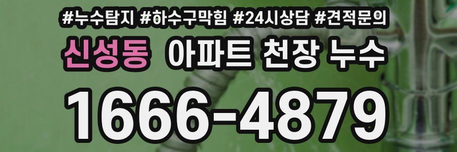신성동 아파트 천장 누수