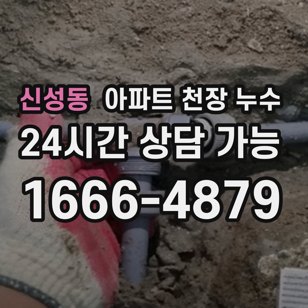 신성동 아파트 천장 누수
