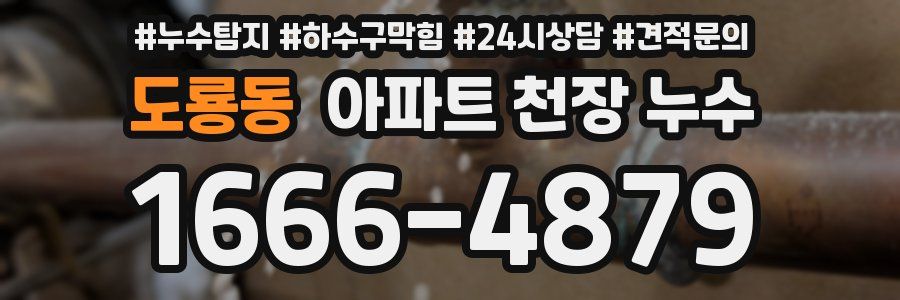 도룡동 아파트 천장 누수