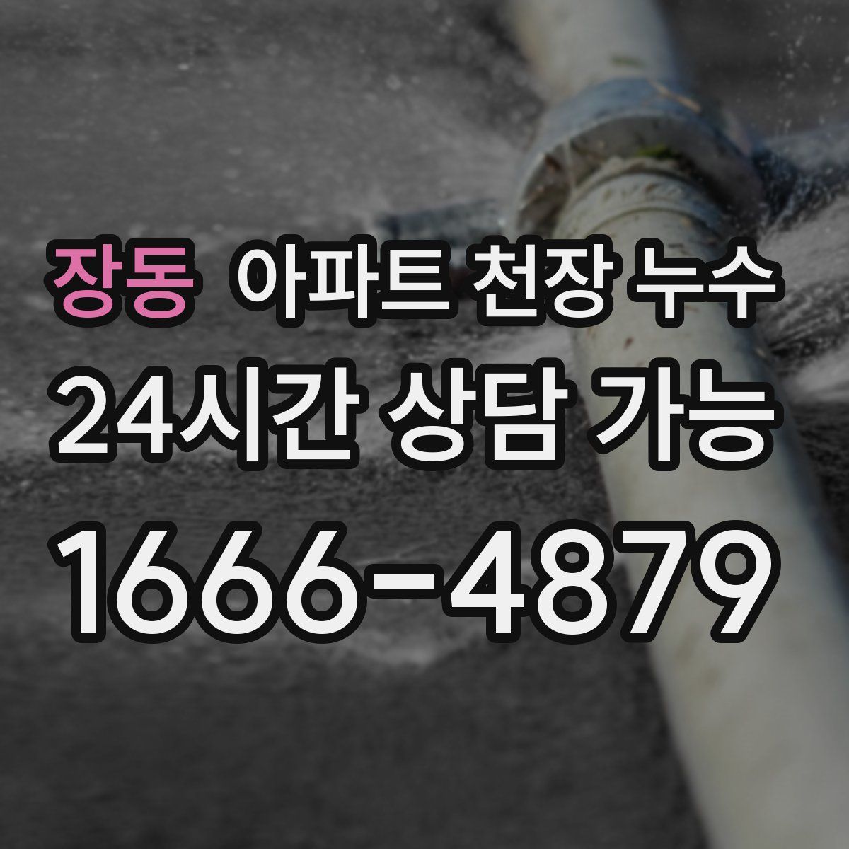 장동 아파트 천장 누수