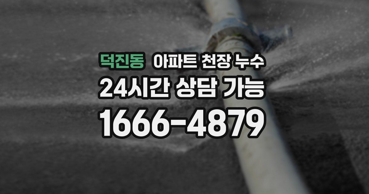 덕진동 아파트 천장 누수