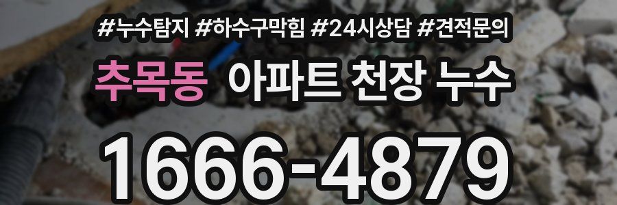 추목동 아파트 천장 누수