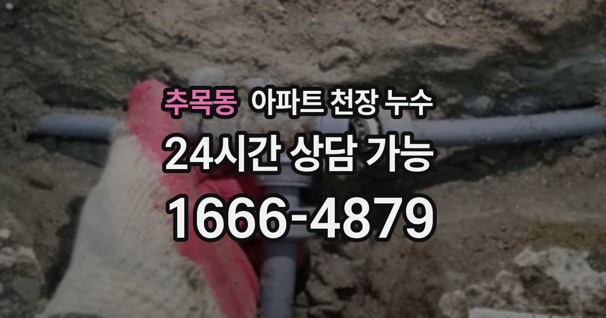 추목동 아파트 천장 누수