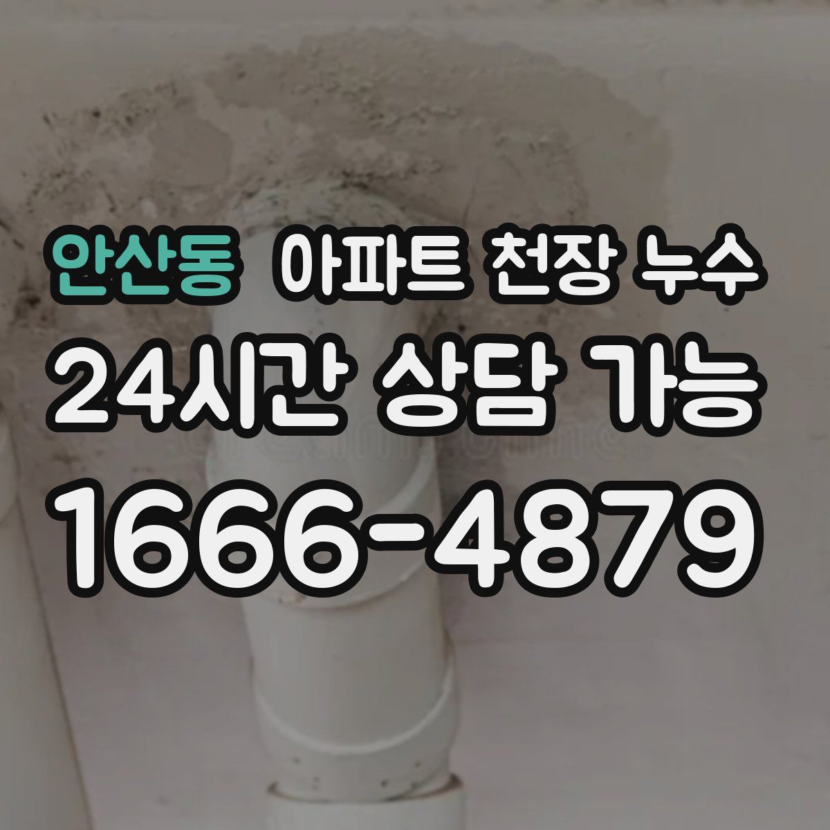 안산동 아파트 천장 누수