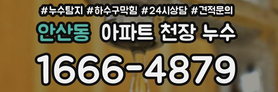 안산동 아파트 천장 누수