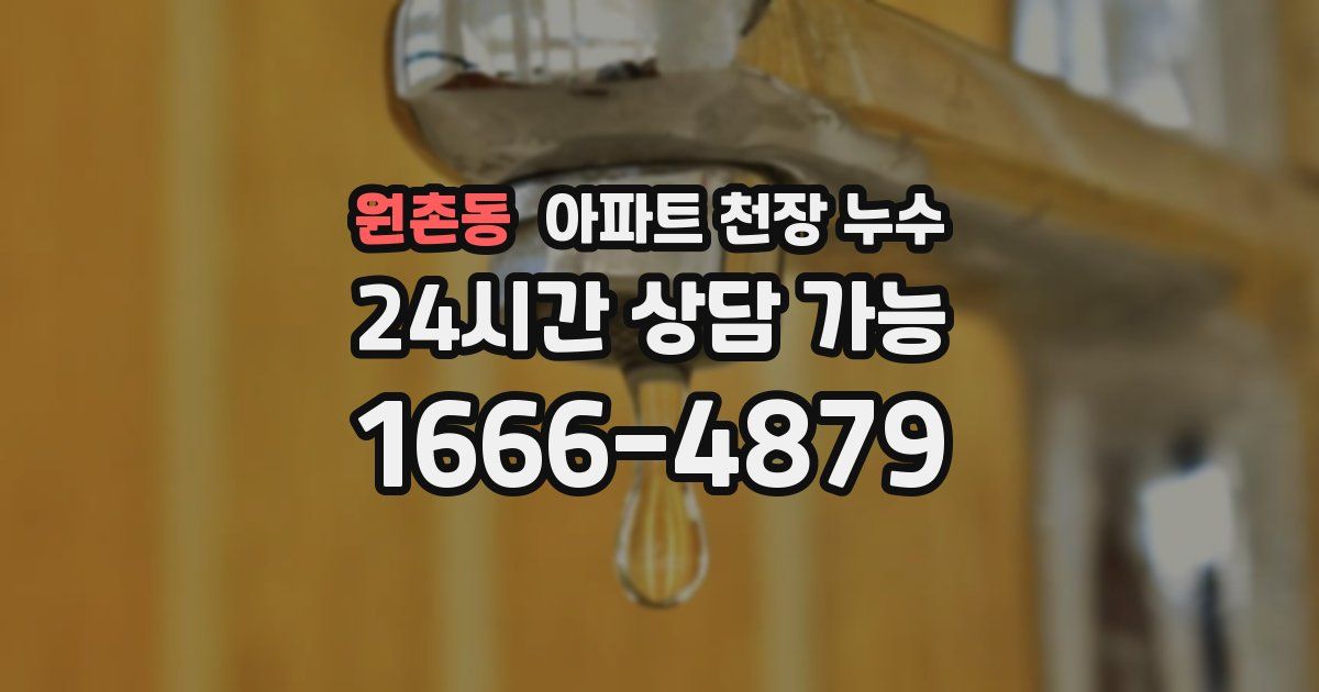 원촌동 아파트 천장 누수