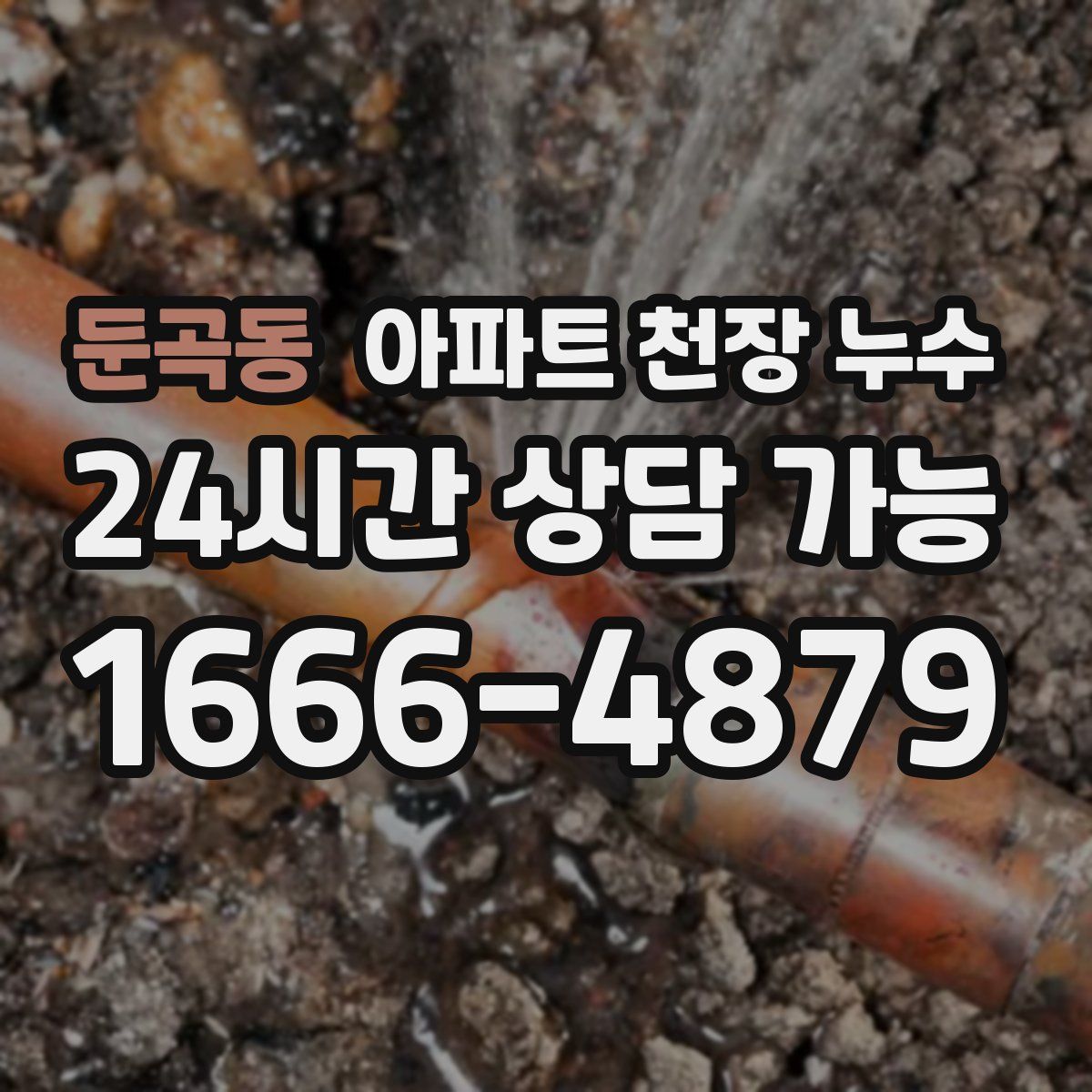 둔곡동 아파트 천장 누수