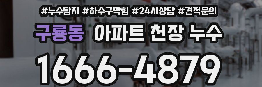 구룡동 아파트 천장 누수