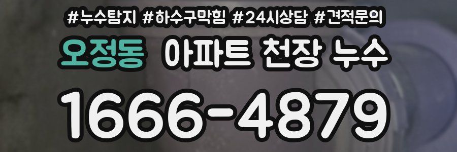 오정동 아파트 천장 누수