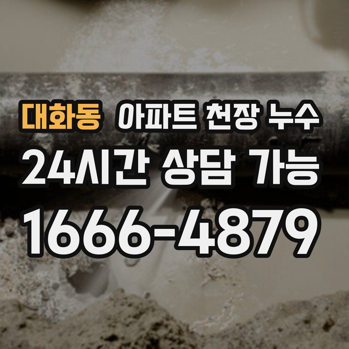 대화동 아파트 천장 누수