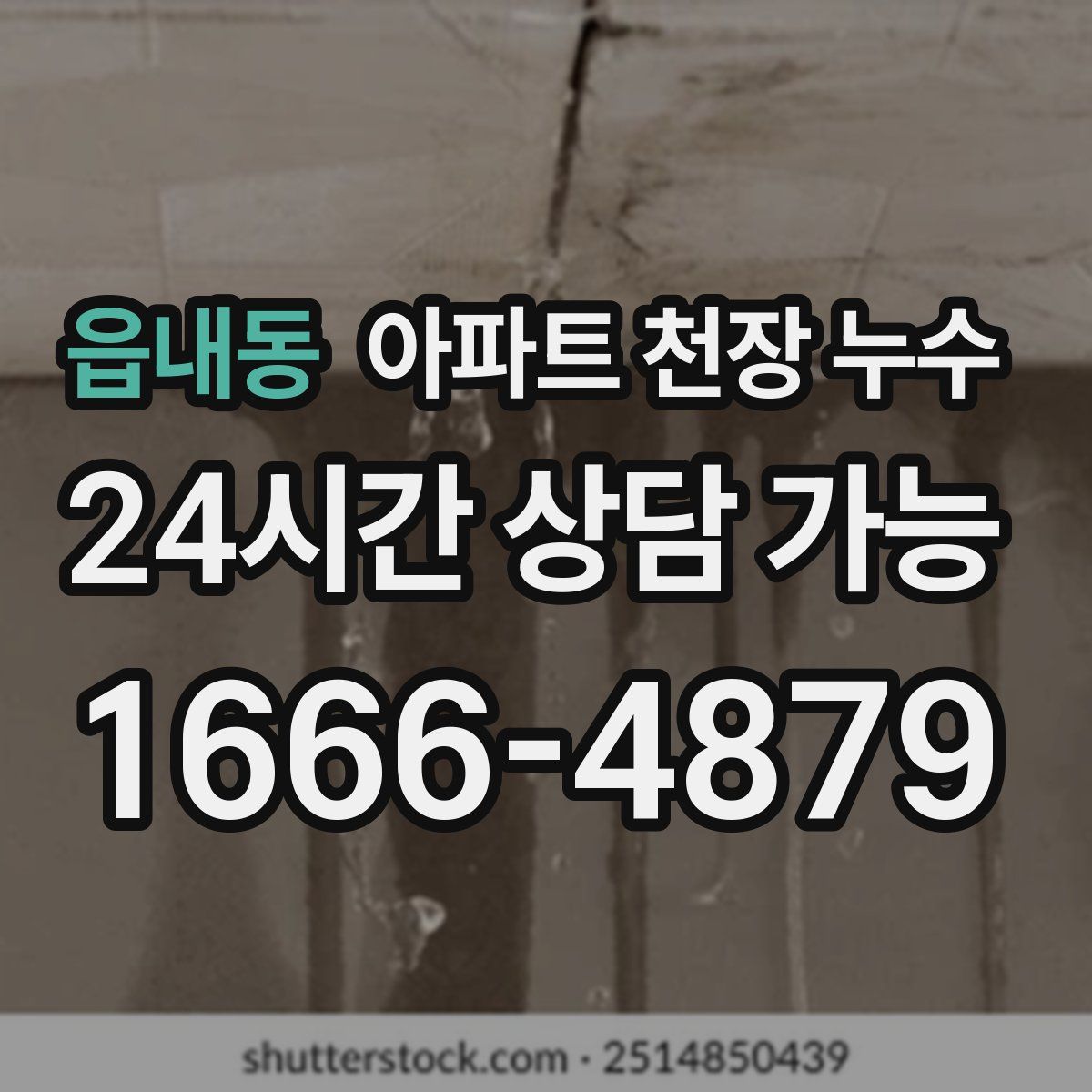 읍내동 아파트 천장 누수