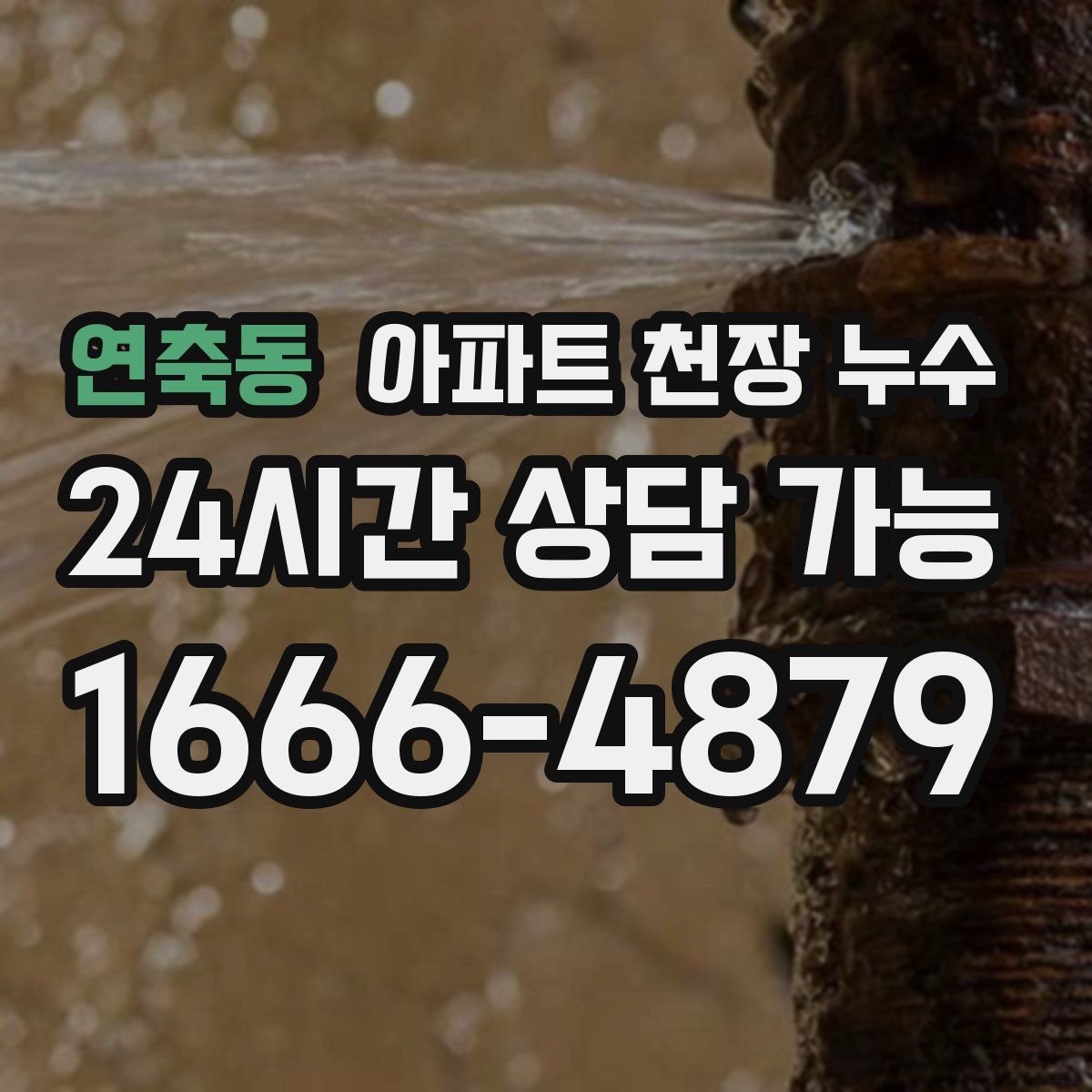연축동 아파트 천장 누수