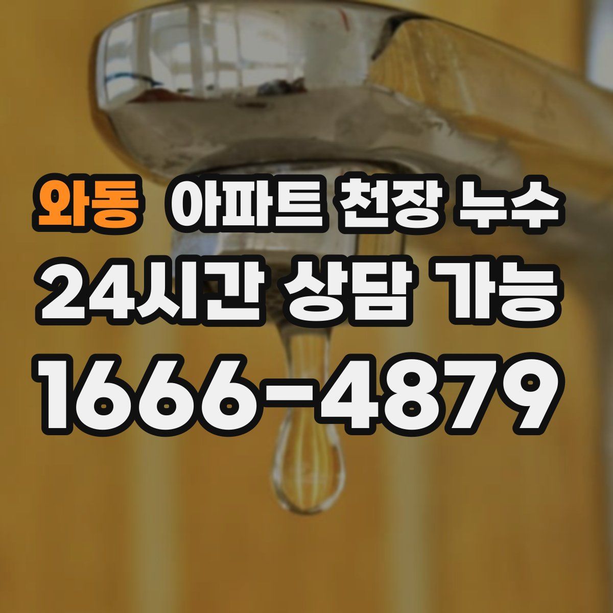 와동 아파트 천장 누수
