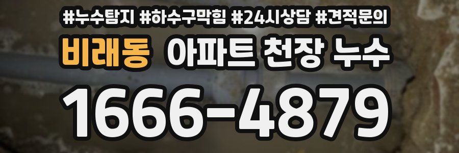 비래동 아파트 천장 누수