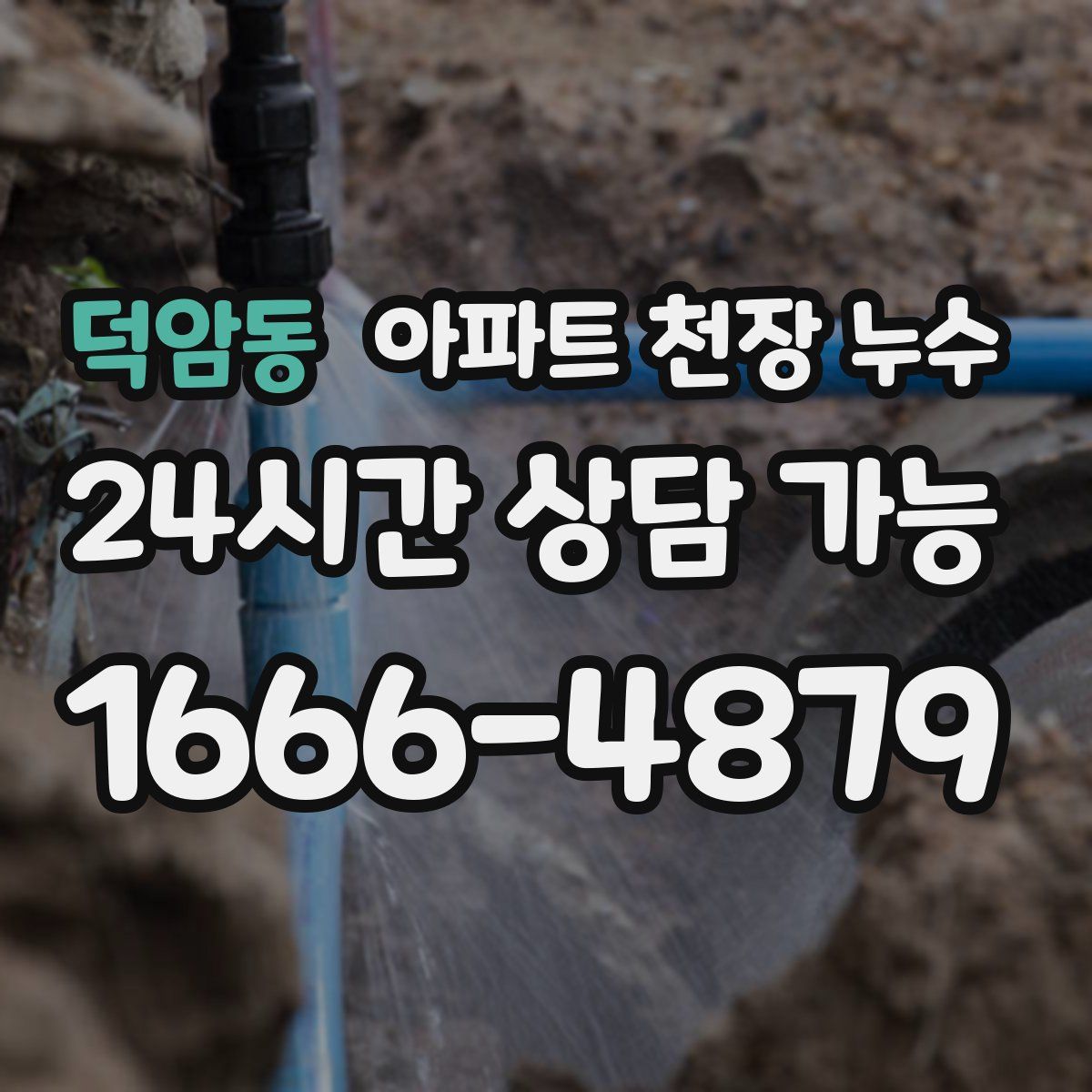 덕암동 아파트 천장 누수