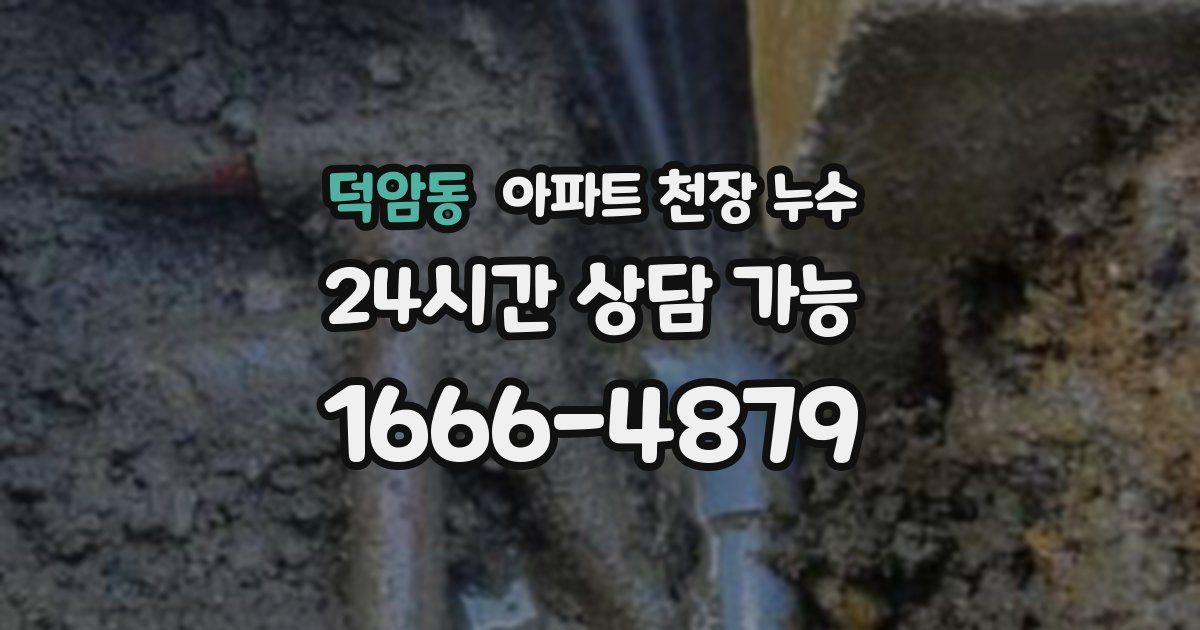 덕암동 아파트 천장 누수
