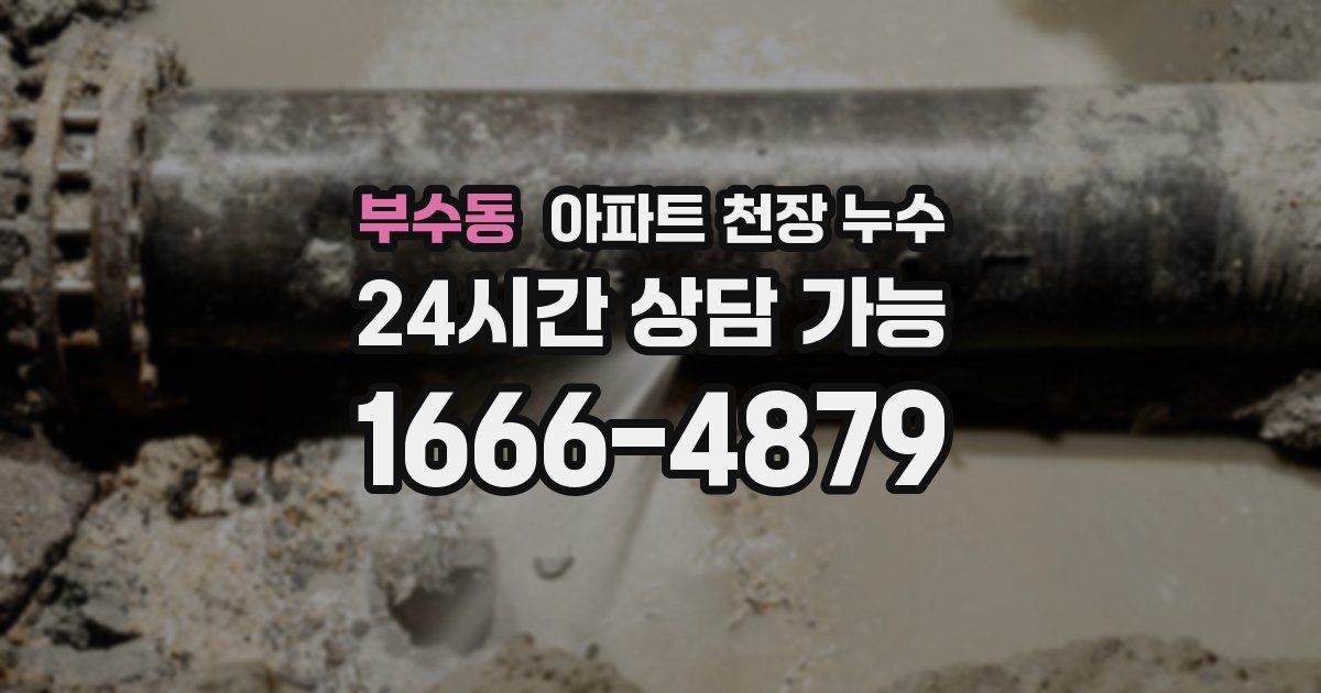 부수동 아파트 천장 누수
