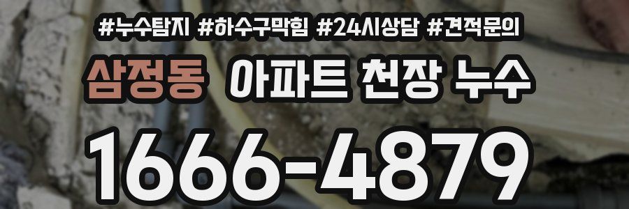 삼정동 아파트 천장 누수
