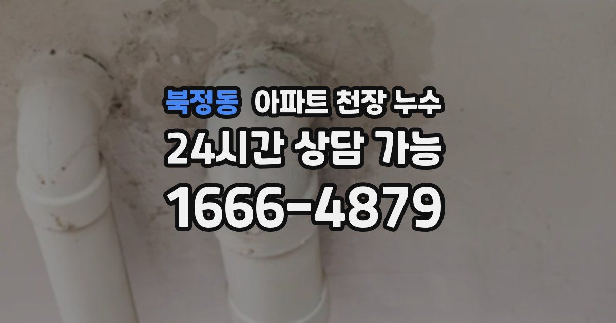 북정동 아파트 천장 누수