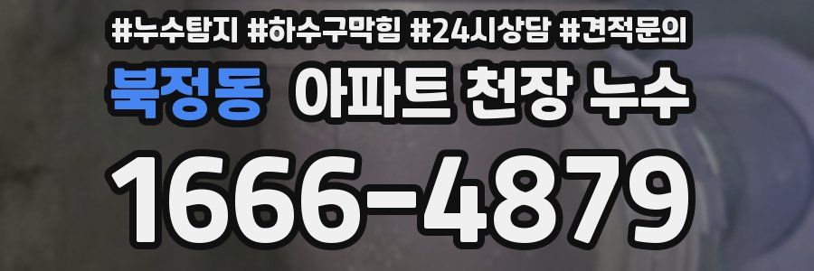 북정동 아파트 천장 누수