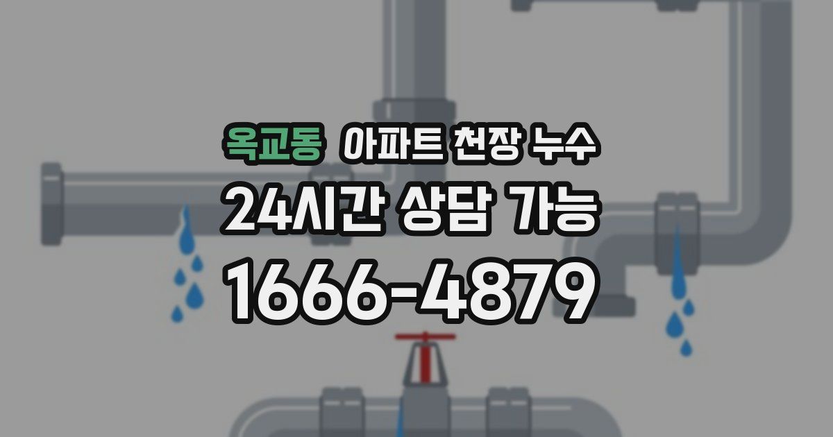 옥교동 아파트 천장 누수