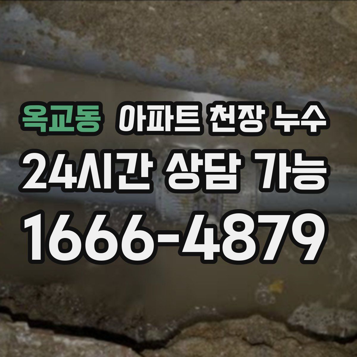 옥교동 아파트 천장 누수