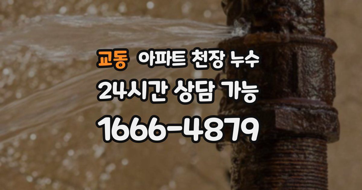 교동 아파트 천장 누수