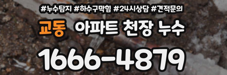 교동 아파트 천장 누수