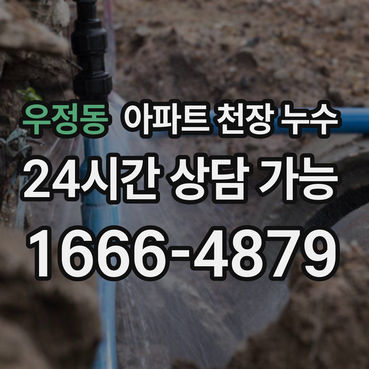 우정동 아파트 천장 누수