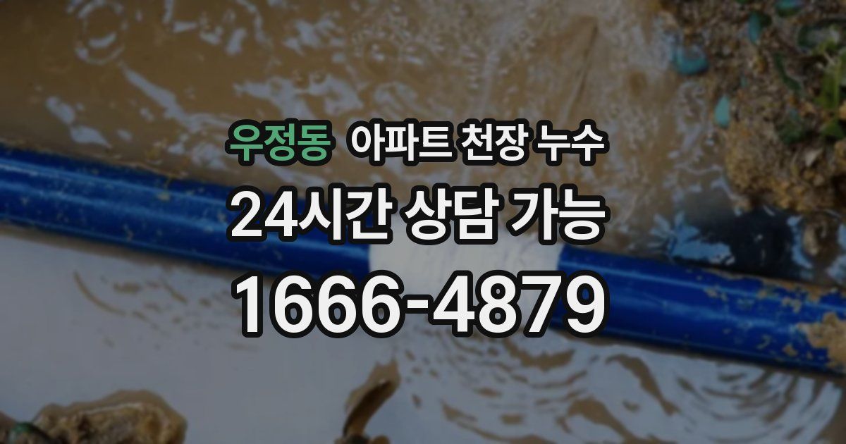 우정동 아파트 천장 누수