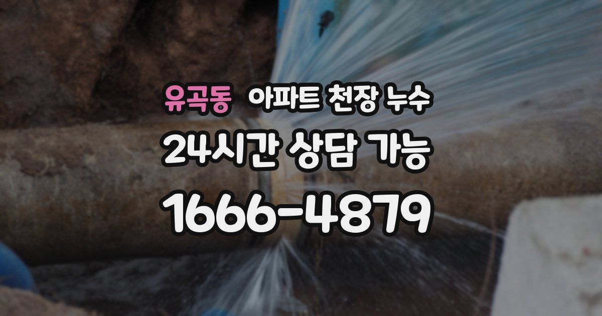 유곡동 아파트 천장 누수