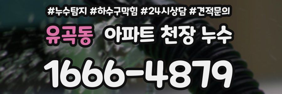 유곡동 아파트 천장 누수