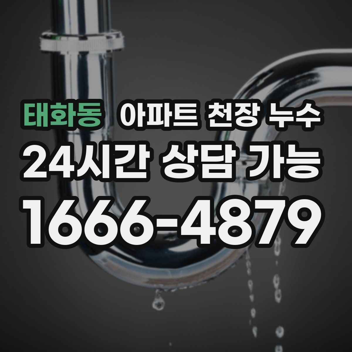 태화동 아파트 천장 누수
