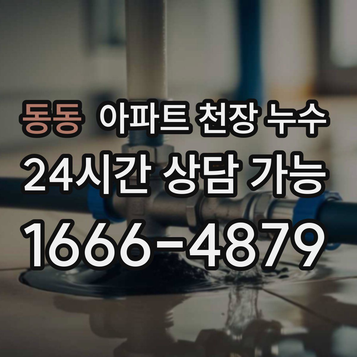 동동 아파트 천장 누수