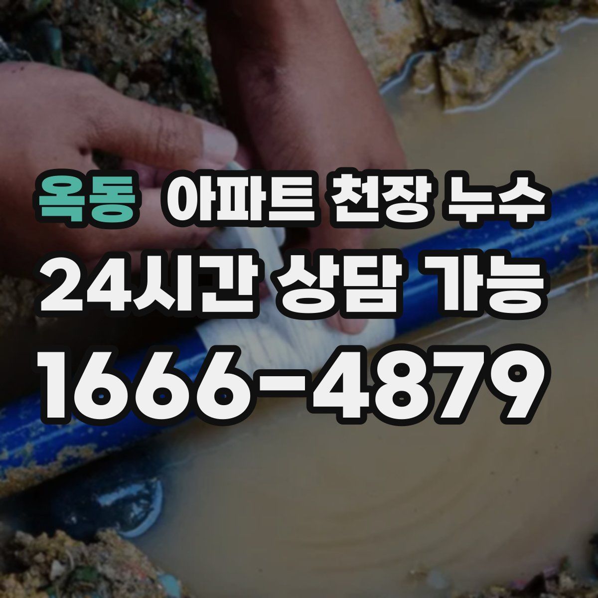 옥동 아파트 천장 누수