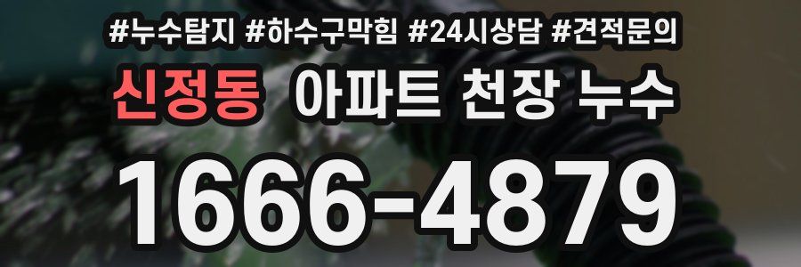 신정동 아파트 천장 누수