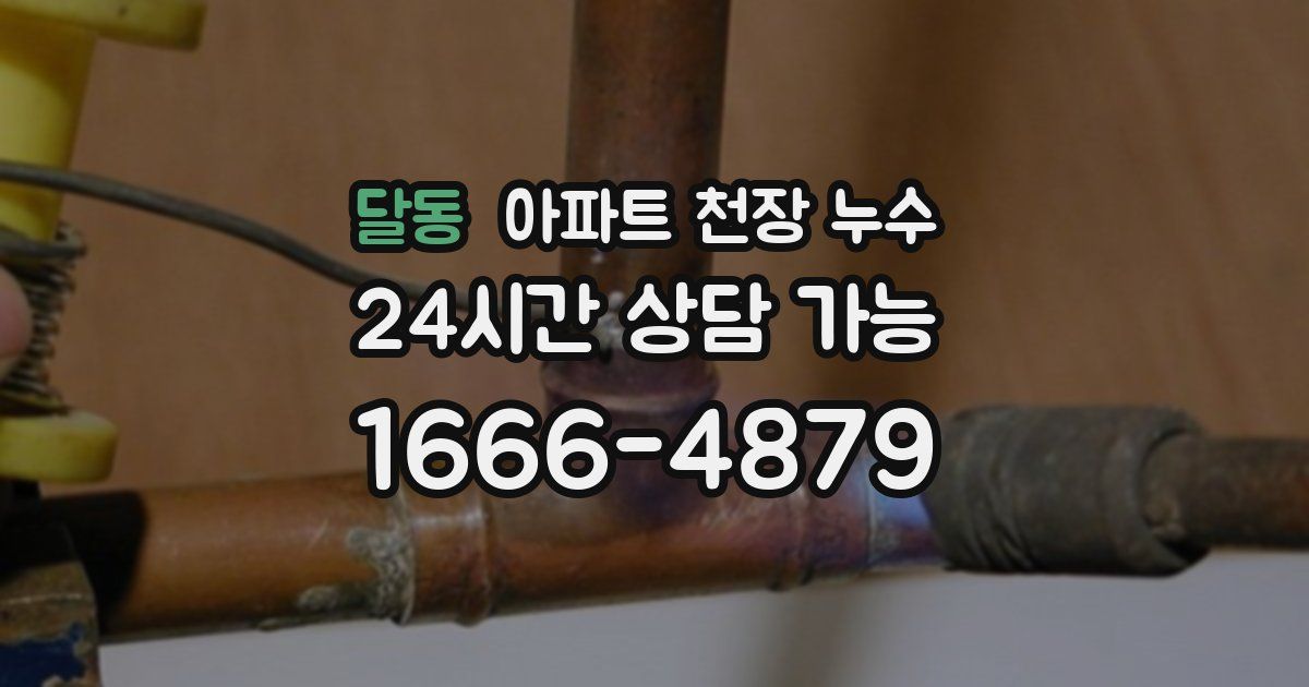 달동 아파트 천장 누수