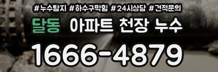 달동 아파트 천장 누수