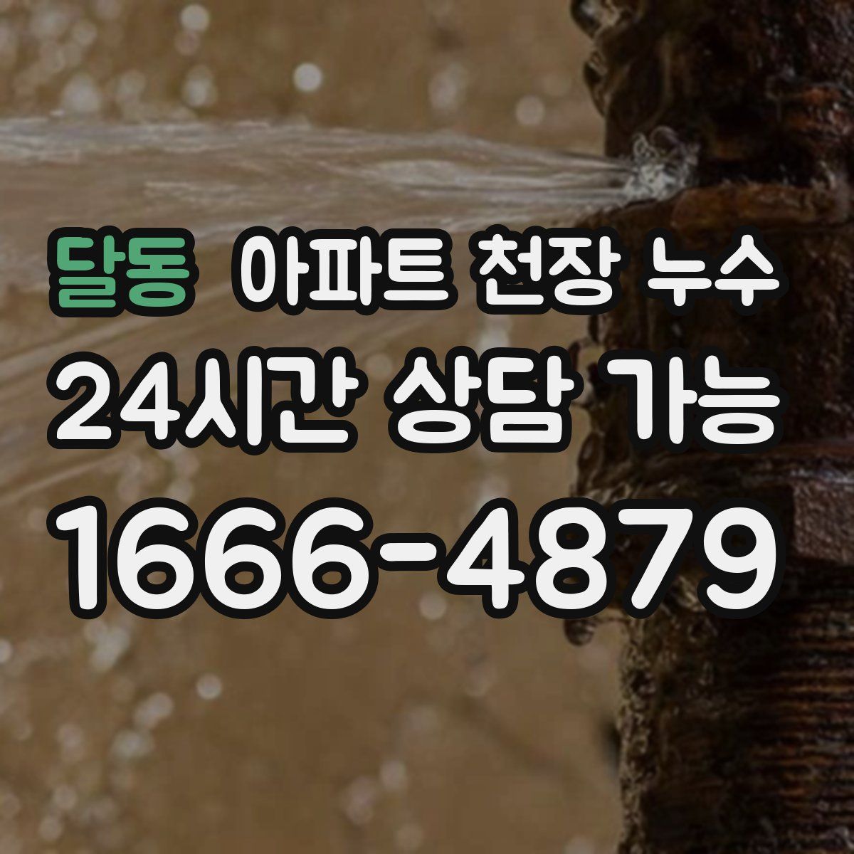 달동 아파트 천장 누수