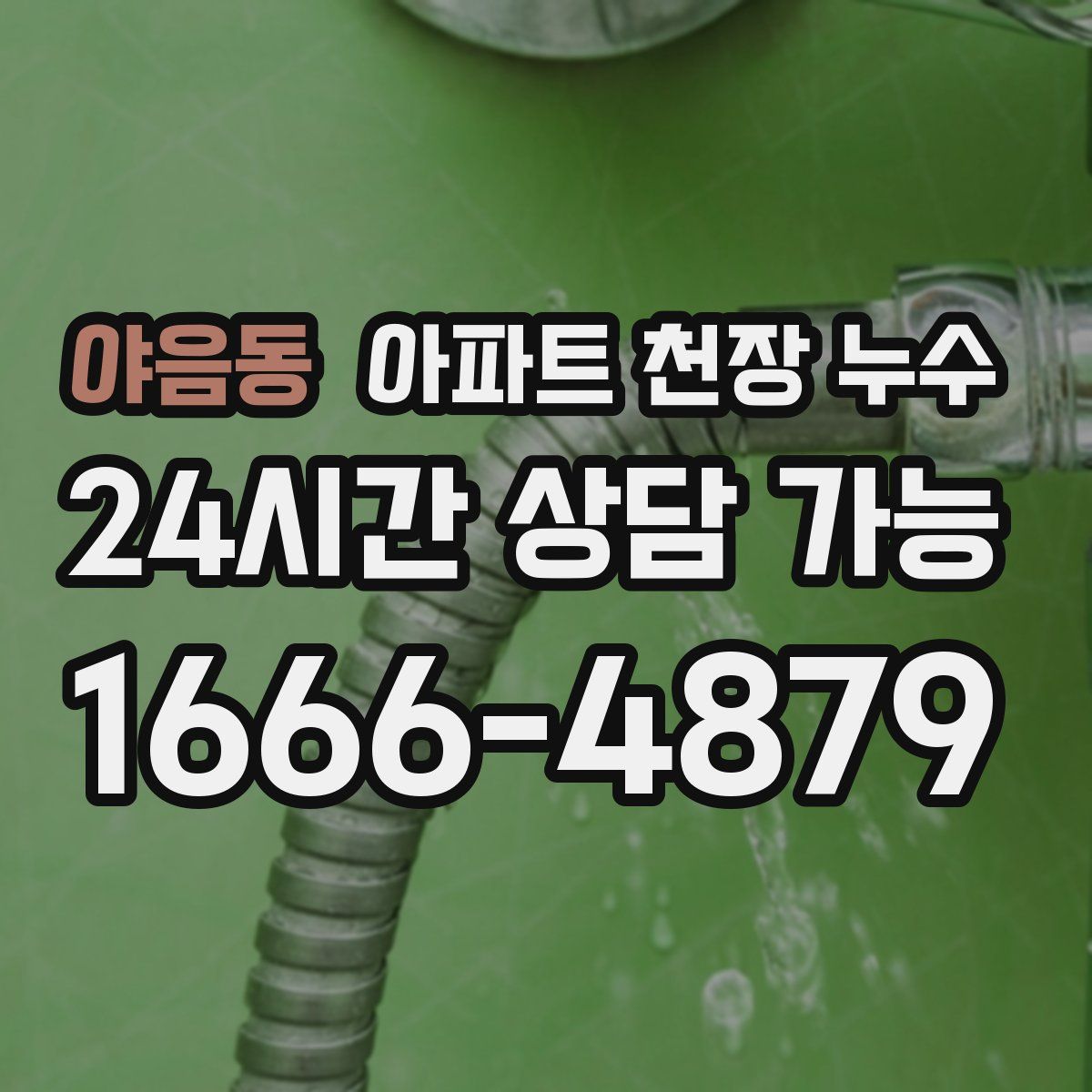 야음동 아파트 천장 누수